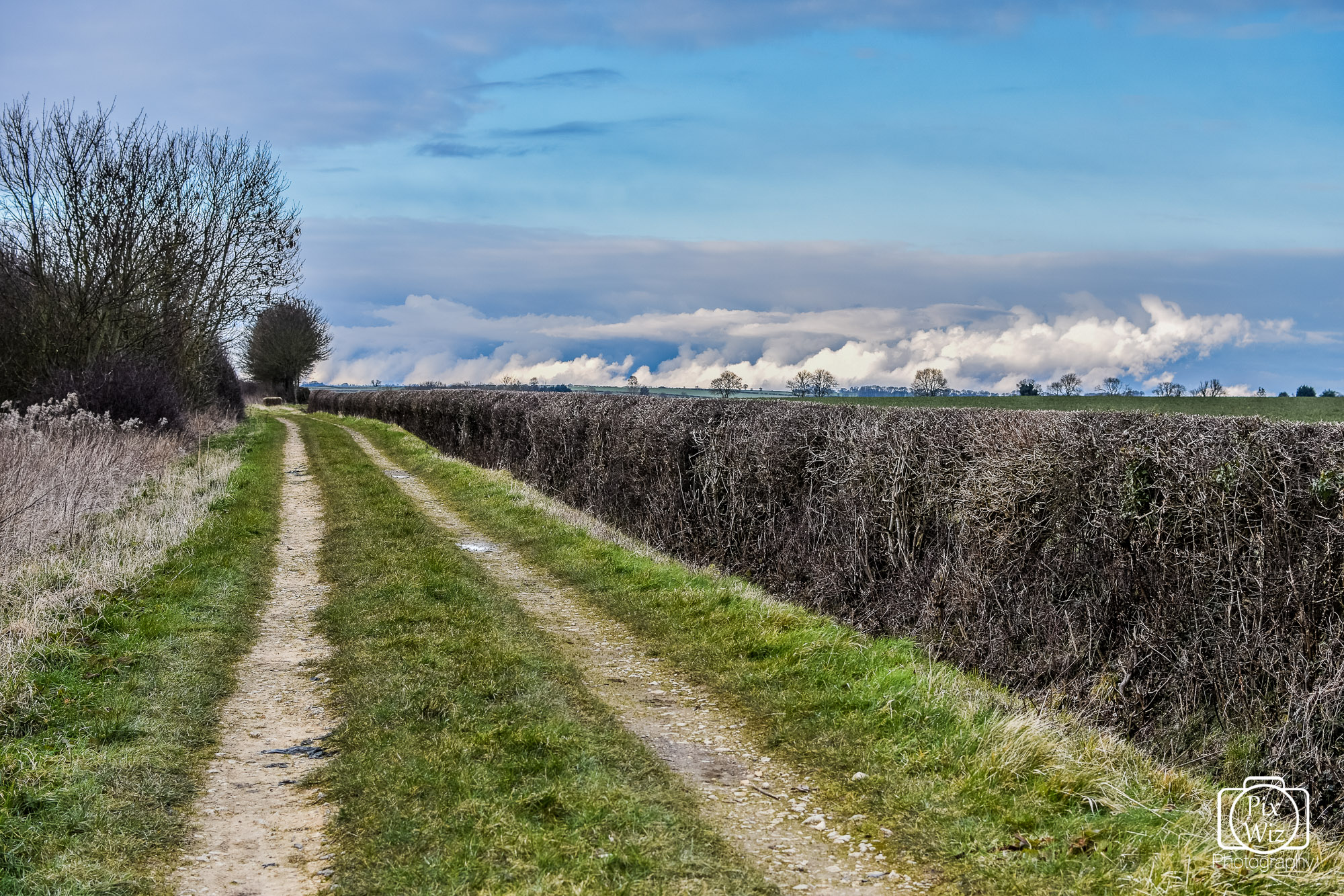 Lincolnshire Bridleway